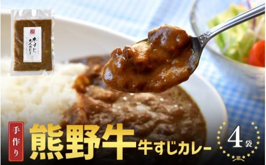 熊野牛の牛すじを使ったこだわりの手作りカレー 200g×4袋/カレー 肉 牛 牛すじ 熊野牛 ブランド 和牛 高級和牛 冷凍 通年 手作り うまい 逸品 おかず 牛すじカレー【okd005】