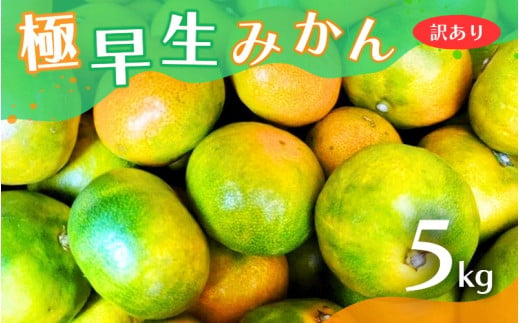 【2024年秋頃発送予約分】【訳あり】こだわりの極早生みかん 約5kg ※2024年10月上旬より順次発送予定（お届け日指定不可） 有機質肥料100% サイズ混合  有田産【nuk165】