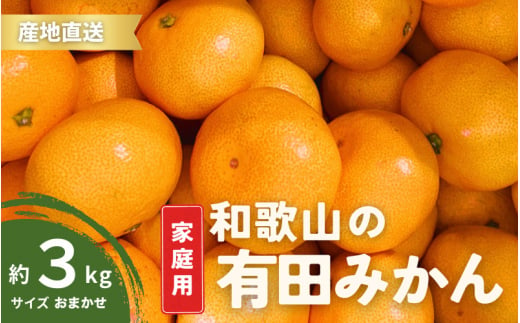 【10月発送】ご家庭用 有田みかん 和歌山 S～Lサイズ 大きさお任せ 3kg / みかん フルーツ 果物 くだもの 有田みかん 蜜柑 柑橘【ktn006A-10】