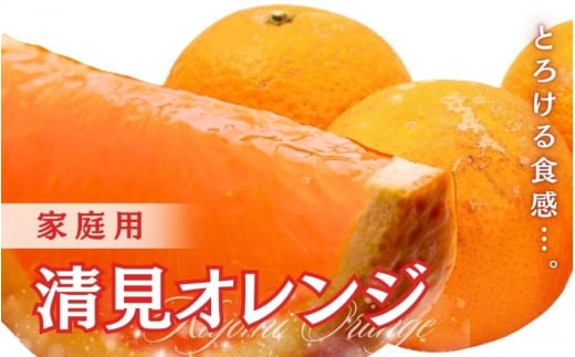 ＜2月より発送＞家庭用 清見オレンジ3.5kg+105g（傷み保証分）【光センサー食頃出荷】【樹上完熟きよみオレンジ・清見タンゴール・清美】【わけあり・訳あり】※北海道・沖縄・離島への配送不可【ikd199】