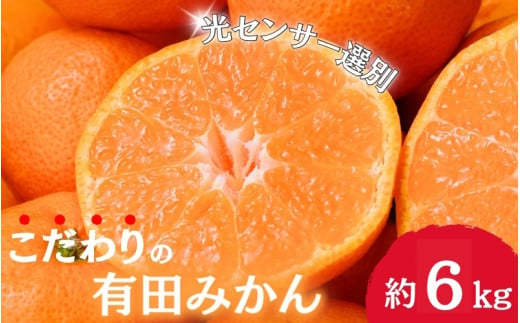 【12月発送】＼光センサー選別／農家直送 こだわりの完熟有田みかん 約6kg＋250g(傷み補償分) 【ご家庭用】みかん ミカン 有田みかん 温州みかん 柑橘 有田 和歌山 産地直送【nuk102-2】