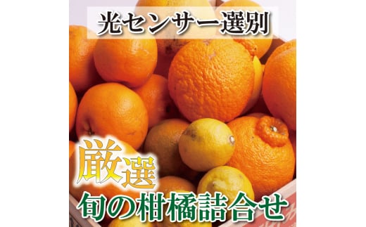 庭用 柑橘詰合せ2kg+60g（傷み補償分）【訳あり・わけあり】【有田の春みかん詰め合わせ・フルーツ詰め合せ・オレンジつめあわせ】【光センサー選別】【ikd184】