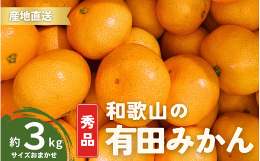 【10月発送】秀品 有田みかん 和歌山県産 S～Lサイズ 大きさお任せ 3kg / みかん フルーツ 果物 くだもの 有田みかん 蜜柑 柑橘【ktn001-10】 