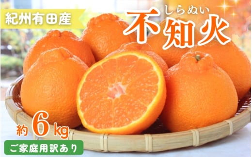 【ご家庭用訳あり】紀州有田産不知火(しらぬひ) 約6kg 【予約】※2025年2月中旬頃～3月上旬頃に順次発送予定(お届け日指定不可)【uot831】