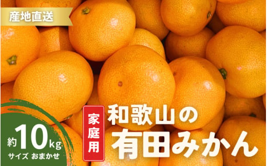 【1月発送】家庭用 有田みかん 和歌山 S～Lサイズ 大きさお任せ 10kg / みかん フルーツ 果物 くだもの 有田みかん 蜜柑 柑橘【ktn008A-1】