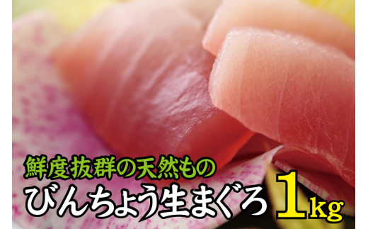 天然 びん長生マグロ 1kg 鮮度抜群の生まぐろをお届けします / 生鮪 鮪 マグロ 生まぐろ ビンチョウマグロ 刺身【tka013A】