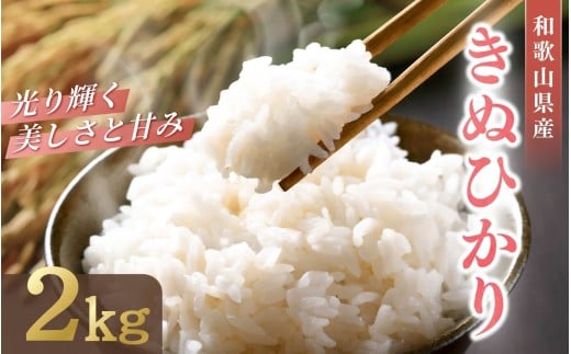 和歌山県産 キヌヒカリ 2kg（2025年産） / お米 きぬひかり 白米 令和7年 人気 おすすめ ※2025年9月中旬より順次発送予定【sml138】
