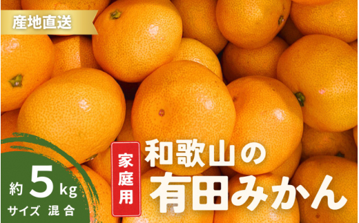 【11月発送】ご家庭用 有田みかん 和歌山 S～Lサイズ 大きさお任せ 5kg / みかん フルーツ 果物 くだもの 有田みかん 蜜柑 柑橘【ktn007A-11】