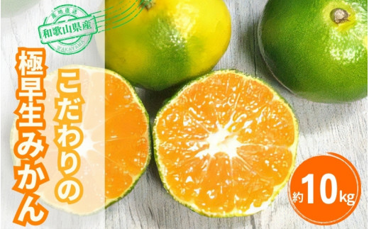 【2026年秋頃発送予約分】＼光センサー選別／ 【農家直送】こだわりの極早生みかん 約10kg 【数量限定】 有機質肥料100% サイズ混合 ※2026年10月～11月に順次発送予定（お届け日指定不可） 有田産【nuk135E】