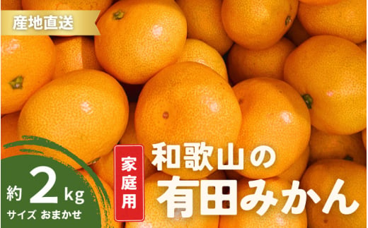 【10月発送】 ご家庭用 有田みかん 和歌山 S～Lサイズ 大きさお任せ 2kg / みかん フルーツ 果物 くだもの 有田みかん 蜜柑 柑橘【ktn005-10】