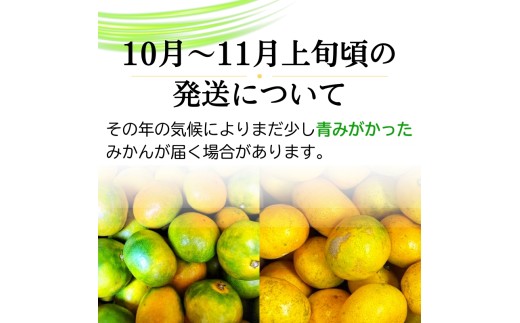 【2026年10月発送予約分】＼光センサー選別／農家直送 こだわりの完熟有田みかん 約10kg＋150g(傷み補償分) 【ご家庭用】 【10月発送】有機質肥料100% 有田みかん みかん ミカン 蜜柑 柑橘 果物 フルーツ 甘い 温州みかん 先行予約【nuk101-10】