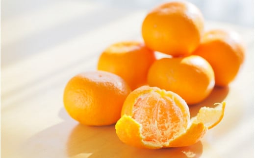 【先行予約】希少種みかん はれひめ 約5kg(25個～30個) 秀品 2024年12月中旬～2025年2月初旬頃に順次発送予定（お届け日指定不可）/ 和歌山 みかん はれひめ フルーツ 柑橘 蜜柑 果物 くだもの