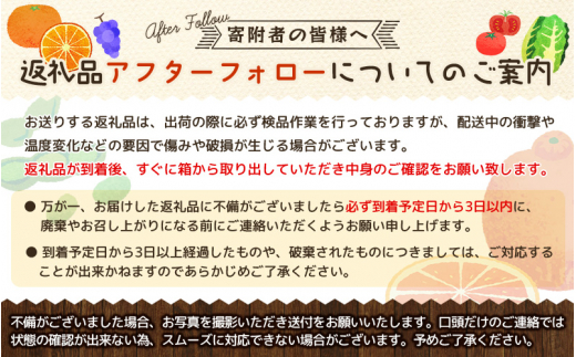 庭用 柑橘詰合せ2kg+60g（傷み補償分）【訳あり・わけあり】【有田の春みかん詰め合わせ・フルーツ詰め合せ・オレンジつめあわせ】【光センサー選別】【ikd184】