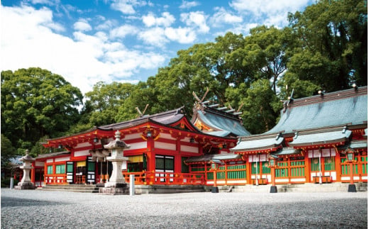 新宮市 ガイドと歩く歴史探訪ツアー　世界遺産三社巡り / 熊野 世界遺産 天然記念物 自然 神社 