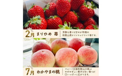 わかやま 旬の フルーツ 定期便 【L】全4回 / 有田みかん まりひめ いちご 桃 柿 ※北海道・沖縄・離島への配送不可【ard-tkb911】