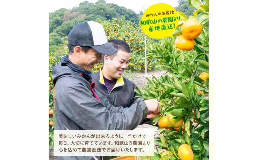 【2026年9月中旬～10月上旬頃に順次発送予定】有田育ちの完熟有田みかん 家庭用 サイズ混合(2S～2L)　約5.2kg(5kg+200g)(傷み補償分) 【ard186-09】