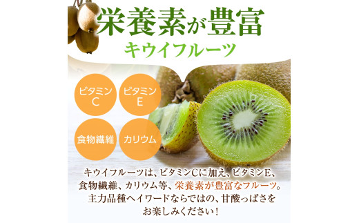 ãå
è¡äºçŽã å
è¡äºçŽïŒåæå±±çç£Â ç§å ããŠã€ãã«ãŒã 倧ç15åå
¥Â ãã ãã蟲家å³éžÂ ã2026幎12æäžæ¬ïœ2027幎1æäžæ¬é é æ¬¡çºéã/ ããŠã€ ããŠã€ãã«ãŒã æç© ãã«ãŒã ããã€ãkgr021ã