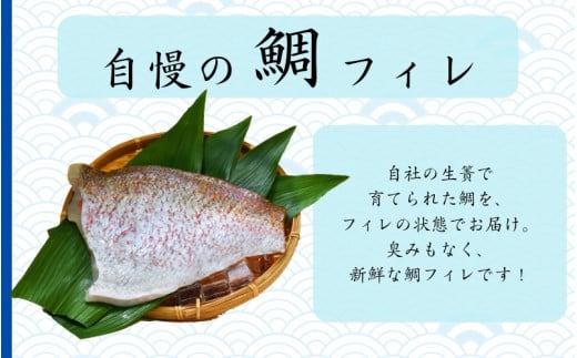 フレッシュマダイフィレ　2枚入り/ 真鯛 鯛フィレ 鯛 魚 冷蔵 おかず 魚 お魚 魚介 海鮮 安心 人気美味しい【hne003】