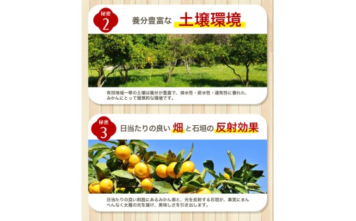 【2027年1月発送予約分】＼光センサー選別／農家直送 こだわりの 有田みかん 約8kg＋150g(傷み補償分)【ご家庭用】【1月発送】【nuk100-01A】