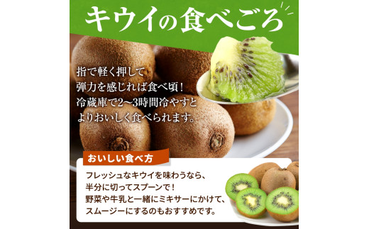 ãå
è¡äºçŽã å
è¡äºçŽïŒåæå±±çç£Â ç§å ããŠã€ãã«ãŒã 倧ç15åå
¥Â ãã ãã蟲家å³éžÂ ã2026幎12æäžæ¬ïœ2027幎1æäžæ¬é é æ¬¡çºéã/ ããŠã€ ããŠã€ãã«ãŒã æç© ãã«ãŒã ããã€ãkgr021ã