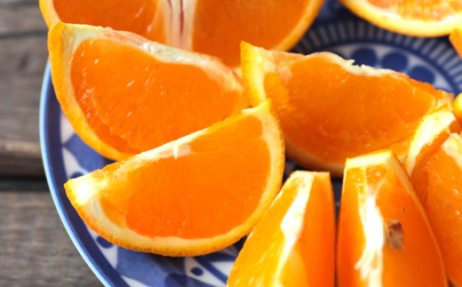 【濃厚】有田産清見オレンジ約5kg(M～3Lサイズおまかせ)ご家庭用 ※2027年2月中旬～2027年3月中旬頃に順次発送予定（日付指定不可）【tec959A】