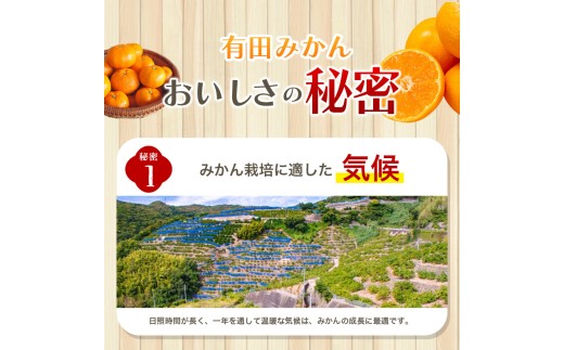 【2026年10月発送予約分】＼光センサー選別／農家直送 こだわりの有田みかん 約2kg【ご家庭用】【10月発送】みかん ミカン 有田みかん 温州みかん 柑橘 有田 和歌山 ※北海道・沖縄・離島配送不可/みかん ミカン 有田みかん 温州みかん 柑橘 有田 和歌山 産地直送【nuk159-10】