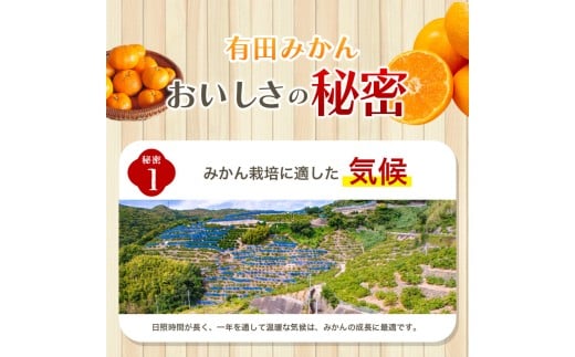 【2026年10月発送予約分】＼光センサー選別／農家直送 こだわりの有田みかん 約4kg＋150g（傷み補償分）【ご家庭用】【10月発送】みかん ミカン 有田みかん 温州みかん 柑橘 有田 和歌山 ※北海道・沖縄・離島配送不可/みかん ミカン 有田みかん 温州みかん 柑橘 有田 和歌山 産地直送【nuk148-10】