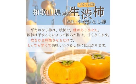 甘さが違う！とっても甘くなる生渋柿（平たねなし柿）吊るし柿用 T字枝or吊るしクリップ付 約2.5～3kg 約9～18個 １０月下旬～順次発送）(日付指定不可) -Ted【art040】