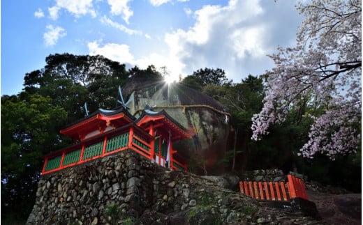 新宮市 ガイドと歩く歴史探訪ツアー　世界遺産三社巡り / 熊野 世界遺産 天然記念物 自然 神社 