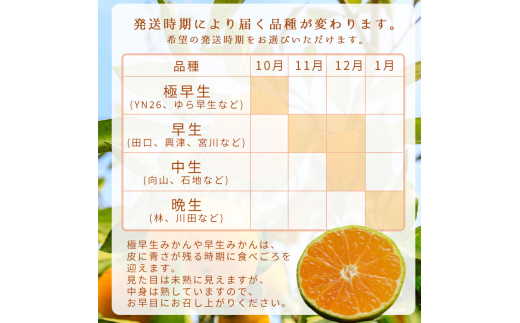 ＼配送月が選べる！／ 秀品 有田みかん 和歌山県産 S～Lサイズ 大きさお任せ 5kg / みかん フルーツ 果物 くだもの 有田みかん 蜜柑 柑橘【ktn002-cho】