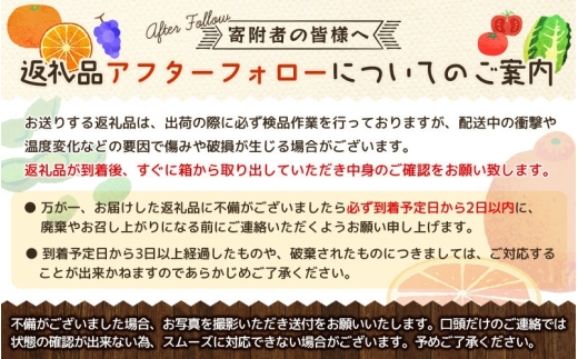 【先行予約】プレミアム有田みかん(完熟) 10kg+250g（傷み補償分） ※11月より発送【光センサー選果】 ※北海道・沖縄・離島配送不可 /みかん ミカン 果物 果実 有田 和歌山 フルーツ オレンジ【ikd215A】
