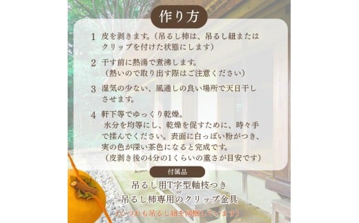甘さが違う！とっても甘くなる生渋柿（平たねなし柿）吊るし柿用 T字枝or吊るしクリップ付 約2.5～3kg 約9～18個 １０月下旬～順次発送）(日付指定不可) -Ted【art040】
