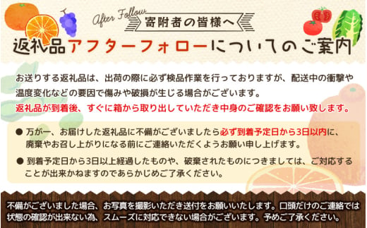 【ご家庭用訳あり】紀州有田産不知火(しらぬひ) 約3kg 【予約】※2025年2月中旬頃～3月上旬頃に順次発送予定(お届け日指定不可)【uot830】