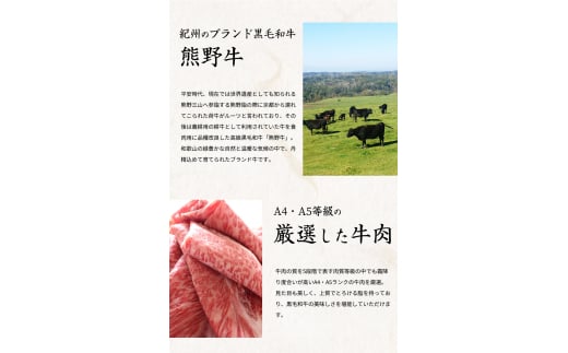 【全3回】まぐろ・うなぎ・和牛を楽しむ贅沢定期便A / 鮪 マグロ 刺身 鰻 ウナギ 蒲焼 熊野牛 肉 牛肉 和牛 黒毛和牛 ヒレ ロース シャトーブリアン ステーキ スライス【tkb386】