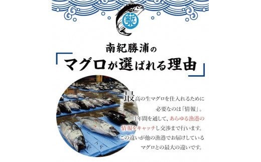 水揚げ高日本一！ 南紀勝浦産 生びんちょうまぐろ（刺身用サク) 約500g/マグロ まぐろ 鮪  ビンチョウマグロ びんながまぐろ 柵 刺身 冷蔵