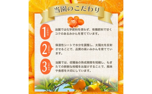 【2026年12月発送予約分】＼光センサー選別／農家直送 こだわりの完熟有田みかん 約10kg＋150g(傷み補償分) 【ご家庭用】【12月発送】 有機質肥料100% 有田みかん みかん ミカン 蜜柑 柑橘 果物 フルーツ 甘い 温州みかん 先行予約【nuk101-12C】