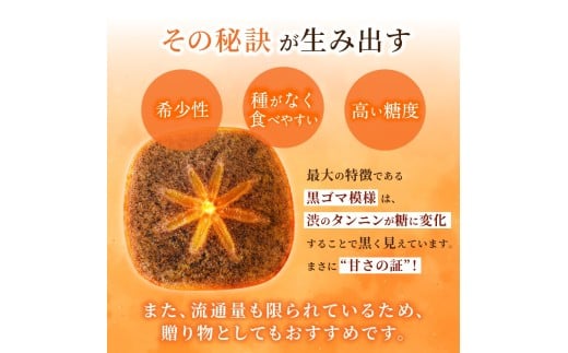 【先行予約】紀の川柿 （果実の中身が黒い！黒蜜柿）希少栽培！ 秀品６個～９個 こだわり農家厳選！【2026年10月上旬から11月上旬頃発送】/ 和歌山県 かつらぎ町 カキ 柿 紀ノ川柿 秀品 紀の川柿 かき フルーツ 旬 秋【kgr044】