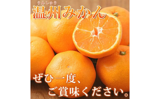 【先行予約】【家庭用 訳あり】紀州有田産 濃厚完熟 温州みかん 2kg  ※2024年11月下旬頃～2025年1月下旬頃に順次発送予定 / みかん ミカン 蜜柑 温州みかん 柑橘 フルーツ 果物 くだもの 和歌山【uot836】