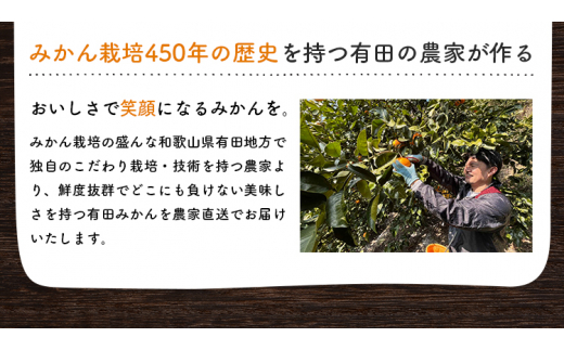 有田育ちのご家庭用完熟 有田みかん 10kg＋300g ※1月上旬〜1月下旬頃より順次発送【ard197B-3】