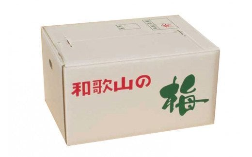 【梅干・梅酒用】大玉4Lサイズ10Kg熟南高梅 赤秀品＜2025年6月上旬～7月上旬ごろに順次発送予定＞【art022】