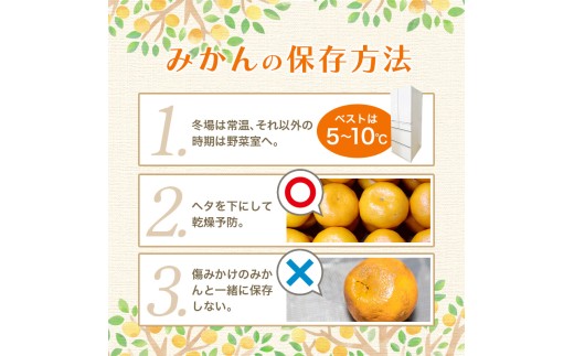 【2026年10月発送】＼光センサー選別／農家直送 【家庭用】こだわりの有田みかん　約5kg＋150g(傷み補償分) みかん ミカン 有田みかん 温州みかん 柑橘 有田 和歌山 ※北海道・沖縄・離島配送不可/みかん ミカン 有田みかん 温州みかん 柑橘 有田 和歌山 産地直送【nuk160-10】