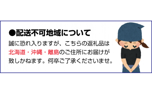 【新鮮・産直】和歌山かつらぎ町産たねなしピオーネ約3kg ※2025年8月中旬～2025年9月下旬頃順次発送【tec952A】