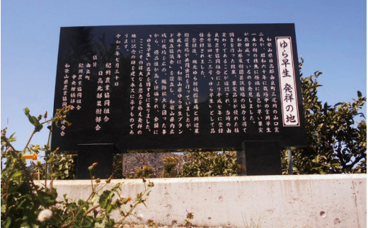 ãå
è¡äºçŽãåæå±±ç±è¯çºç£ ç±è¯æ©çã¿ãã çŽ3kg èš³ãã ã㺠埡家åºçš ãµã€ãºæ··åãsml126Bã