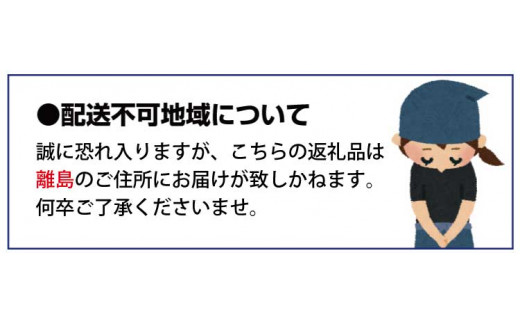 紀州和歌山まるごとみかんゼリー 145g×12個（6個入×2箱） ※2024年10月上旬頃より発送予定
