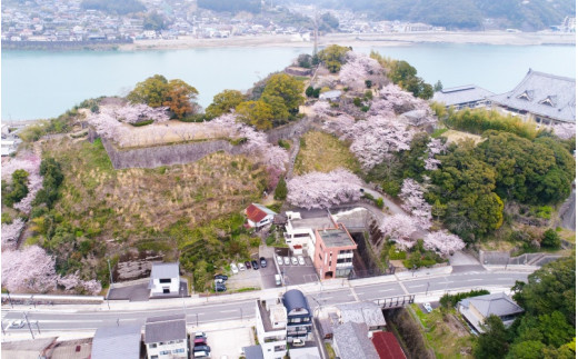 新宮市　ガイドと歩く歴史探訪ツアー　選べる史跡・神社など1カ所 / 熊野 世界遺産 天然記念物 自然 神社 