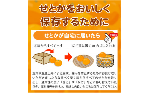 とろける食感 ジューシー柑橘 せとか 約2.5kg みかん 蜜柑 柑橘 オレンジ 果物 フルーツ 国産 和歌山県広川町 ※2025年2月上旬頃～2月下旬頃に順次発送予定【uot789】