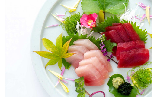 天然生まぐろ食べ比べセット 500g　キハダ（もしくはメバチ）＋びん長まぐろのセット / 生鮪 鮪 マグロ 生まぐろ キハダマグロ ビンチョウマグロ 刺身【tka019A】