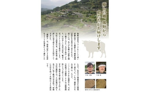 希少和牛 熊野牛上モモ しゃぶしゃぶ用 約500g ＜冷蔵＞ すき焼き しゃぶしゃぶ 牛肉【sim105A】