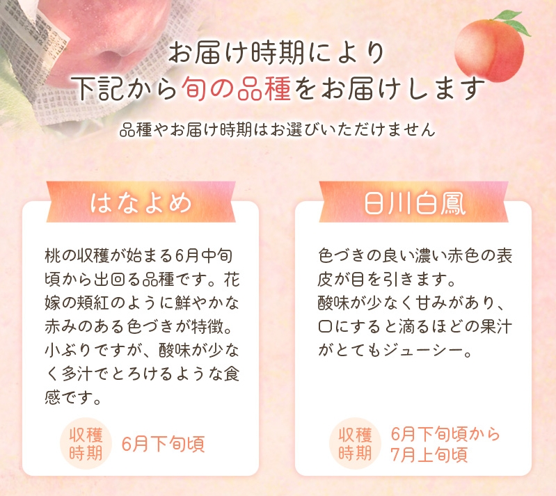 【先行予約受付】和歌山県産の美味しい桃 （11～15玉入り）【2025年6月中旬頃から8月上旬頃順次発送予定】 和歌山 もも モモ 桃 ギフト 贈り物 プレゼント 夏ギフト 果物 フルーツ 人気 産地直送 和歌山県 お取り寄せ【mat100B】