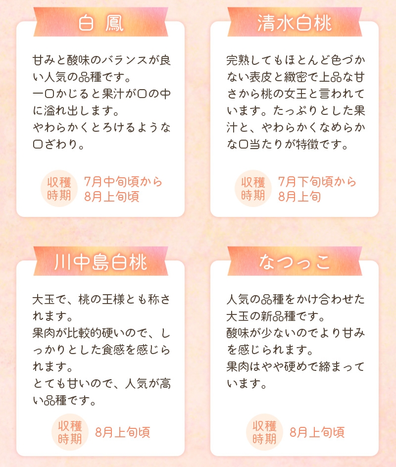 【先行予約受付】和歌山県産の美味しい桃 （11～15玉入り）【2025年6月中旬頃から8月上旬頃順次発送予定】 和歌山 もも モモ 桃 ギフト 贈り物 プレゼント 夏ギフト 果物 フルーツ 人気 産地直送 和歌山県 お取り寄せ【mat100B】